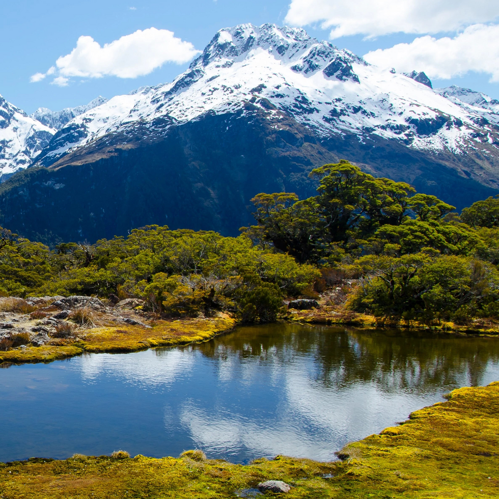 Mountain and lake by NZ plywood supplier Ply Online