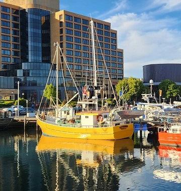 Boat in Hobart marina by Tasmania Plywood Supplier Ply Online